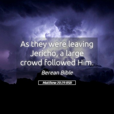 Picture 05 - Matthew 20:29 BSB - As they were leaving Jericho, a large crowd - Bible Verse Picture