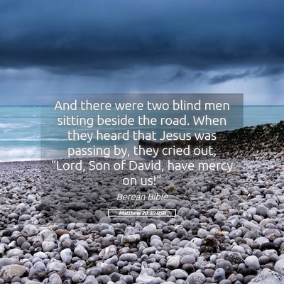 Picture 05 - Matthew 20:30 BSB - And there were two blind men sitting beside the - Bible Verse Picture