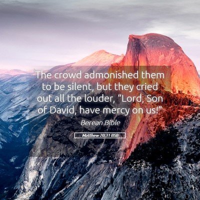 Picture 05 - Matthew 20:31 BSB - The crowd admonished them to be silent, but they - Bible Verse Picture