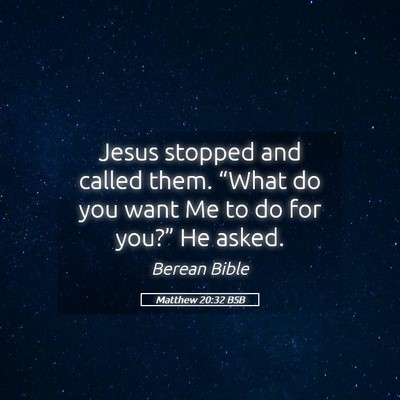 Picture 05 - Matthew 20:32 BSB - Jesus stopped and called them. “What do you - Bible Verse Picture