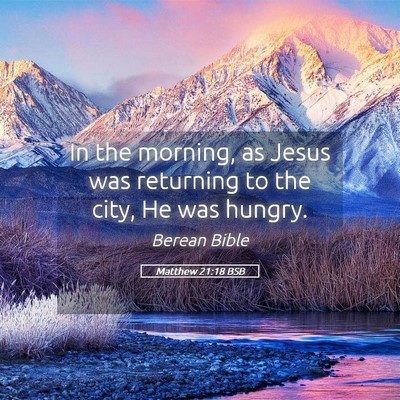 Picture 05 - Matthew 21:18 BSB - In the morning, as Jesus was returning to the - Bible Verse Picture