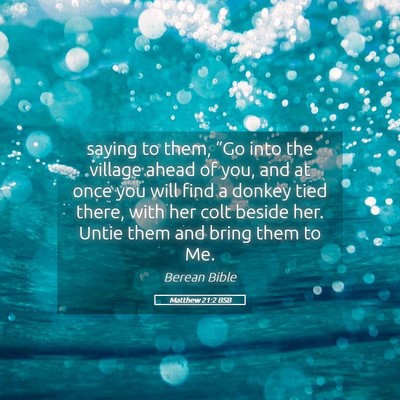 Picture 05 - Matthew 21:2 BSB - saying to them, “Go into the village ahead of - Bible Verse Picture
