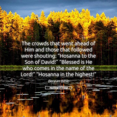 Picture 05 - Matthew 21:9 BSB - The crowds that went ahead of Him and those that - Bible Verse Picture