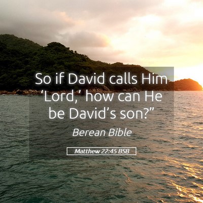 Picture 05 - Matthew 22:45 BSB - So if David calls Him ‘Lord,’ how can He be - Bible Verse Picture