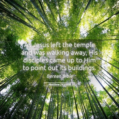 Picture 05 - Matthew 24:1 BSB - As Jesus left the temple and was walking away, - Bible Verse Picture