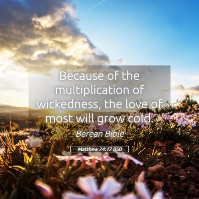 Picture 05 - Matthew 24:12 BSB - Because of the multiplication of wickedness, the - Bible Verse Picture