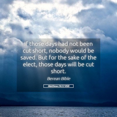 Picture 05 - Matthew 24:22 BSB - If those days had not been cut short, nobody - Bible Verse Picture