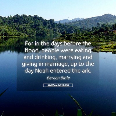 Picture 05 - Matthew 24:38 BSB - For in the days before the flood, people were - Bible Verse Picture