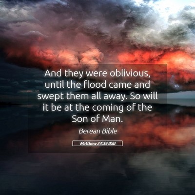 Picture 05 - Matthew 24:39 BSB - And they were oblivious, until the flood came and - Bible Verse Picture