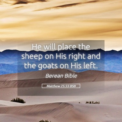 Picture 05 - Matthew 25:33 BSB - He will place the sheep on His right and the - Bible Verse Picture