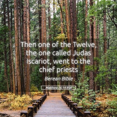 Picture 05 - Matthew 26:14 BSB - Then one of the Twelve, the one called Judas - Bible Verse Picture