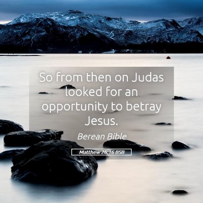 Picture 05 - Matthew 26:16 BSB - So from then on Judas looked for an opportunity - Bible Verse Picture