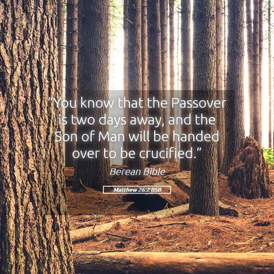 Picture 05 - Matthew 26:2 BSB - “You know that the Passover is two days away, - Bible Verse Picture
