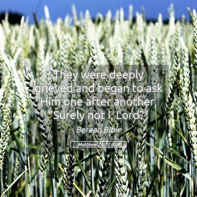 Picture 05 - Matthew 26:22 BSB - They were deeply grieved and began to ask Him one - Bible Verse Picture