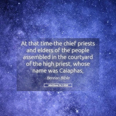 Picture 05 - Matthew 26:3 BSB - At that time the chief priests and elders of the - Bible Verse Picture