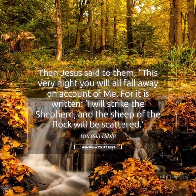 Picture 05 - Matthew 26:31 BSB - Then Jesus said to them, “This very night you - Bible Verse Picture