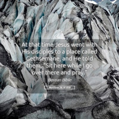Picture 05 - Matthew 26:36 BSB - At that time Jesus went with His disciples to a - Bible Verse Picture