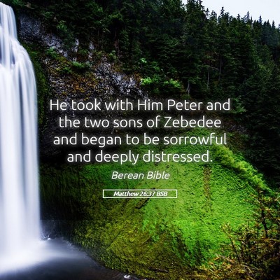 Picture 05 - Matthew 26:37 BSB - He took with Him Peter and the two sons of - Bible Verse Picture