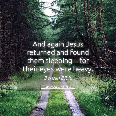 Picture 05 - Matthew 26:43 BSB - And again Jesus returned and found them - Bible Verse Picture