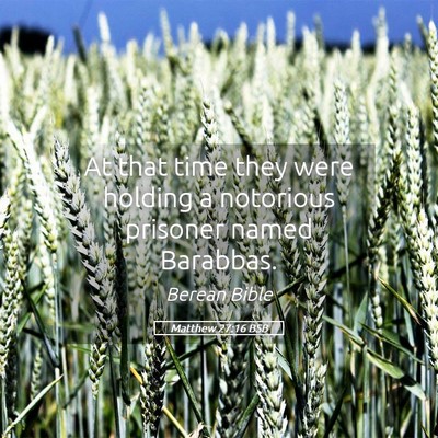 Picture 05 - Matthew 27:16 BSB - At that time they were holding a notorious - Bible Verse Picture