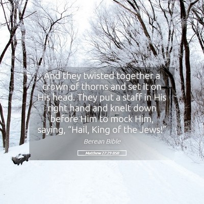Picture 05 - Matthew 27:29 BSB - And they twisted together a crown of thorns and - Bible Verse Picture