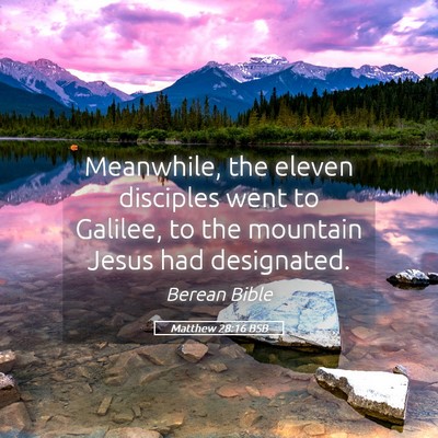 Picture 05 - Matthew 28:16 BSB - Meanwhile, the eleven disciples went to Galilee, - Bible Verse Picture