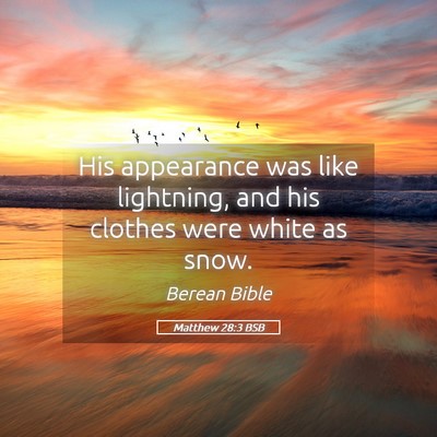 Picture 05 - Matthew 28:3 BSB - His appearance was like lightning, and his - Bible Verse Picture