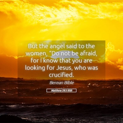 Picture 05 - Matthew 28:5 BSB - But the angel said to the women, “Do not be - Bible Verse Picture
