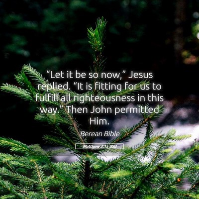 Picture 05 - Matthew 3:15 BSB - “Let it be so now,” Jesus replied. “It is - Bible Verse Picture