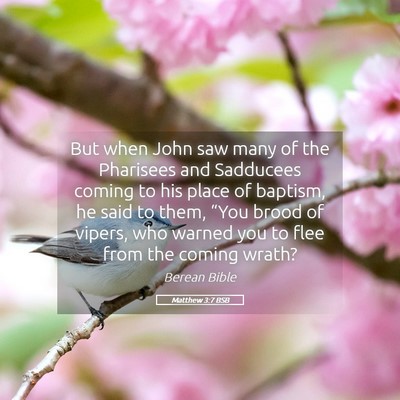 Picture 05 - Matthew 3:7 BSB - But when John saw many of the Pharisees and - Bible Verse Picture