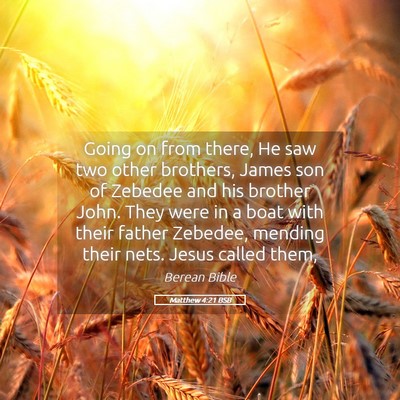 Picture 05 - Matthew 4:21 BSB - Going on from there, He saw two other brothers, - Bible Verse Picture
