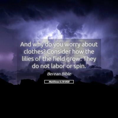 Picture 05 - Matthew 6:28 BSB - And why do you worry about clothes? Consider how - Bible Verse Picture