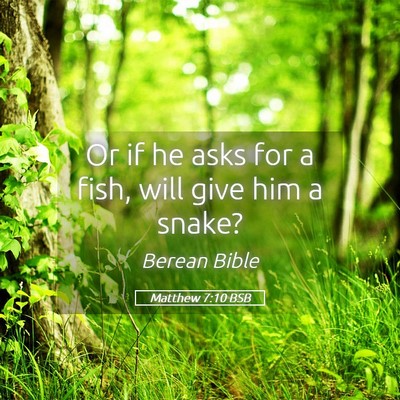 Picture 05 - Matthew 7:10 BSB - Or if he asks for a fish, will give him a - Bible Verse Picture