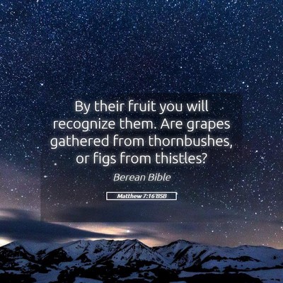 Picture 05 - Matthew 7:16 BSB - By their fruit you will recognize them. Are - Bible Verse Picture