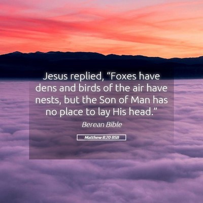 Picture 05 - Matthew 8:20 BSB - Jesus replied, “Foxes have dens and birds of - Bible Verse Picture