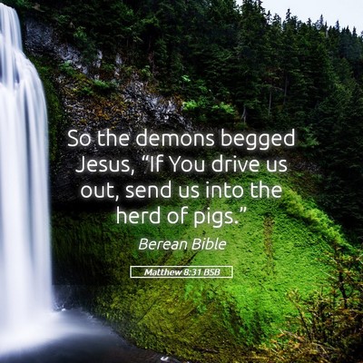 Picture 05 - Matthew 8:31 BSB - So the demons begged Jesus, “If You drive us - Bible Verse Picture