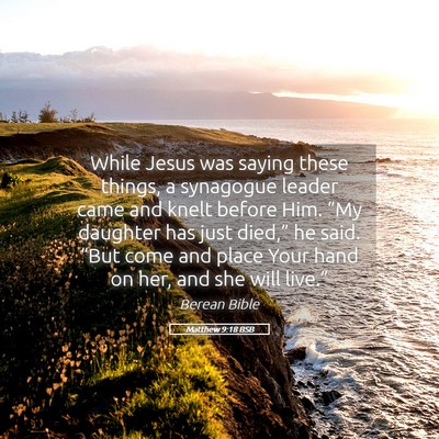 Picture 05 - Matthew 9:18 BSB - While Jesus was saying these things, a synagogue - Bible Verse Picture