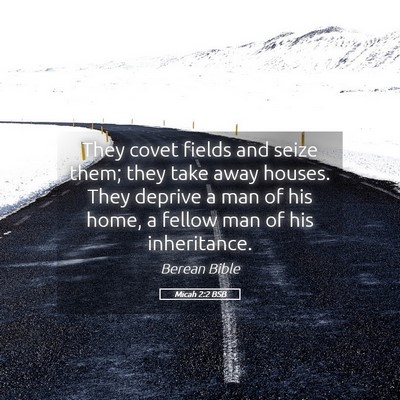 Picture 05 - Micah 2:2 BSB - They covet fields and seize them; they take away - Bible Verse Picture