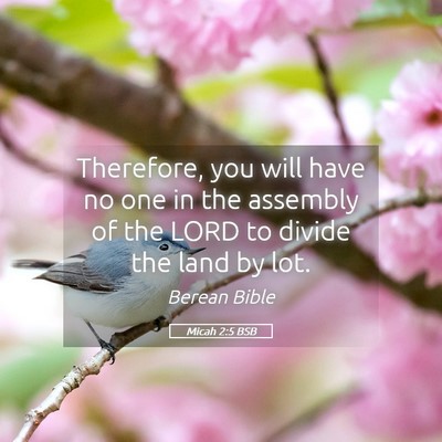 Picture 05 - Micah 2:5 BSB - Therefore, you will have no one in the assembly - Bible Verse Picture
