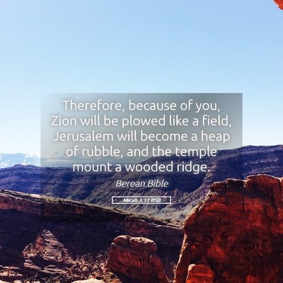 Picture 05 - Micah 3:12 BSB - Therefore, because of you, Zion will be plowed - Bible Verse Picture