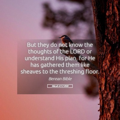 Picture 05 - Micah 4:12 BSB - But they do not know the thoughts of the LORD or - Bible Verse Picture