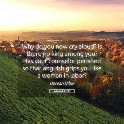 Picture 05 - Micah 4:9 BSB - Why do you now cry aloud? Is there no king among - Bible Verse Picture