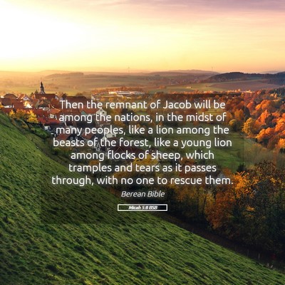 Picture 05 - Micah 5:8 BSB - Then the remnant of Jacob will be among the - Bible Verse Picture