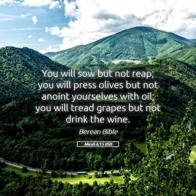 Picture 05 - Micah 6:15 BSB - You will sow but not reap; you will press olives - Bible Verse Picture