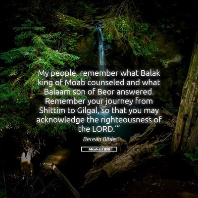 Picture 05 - Micah 6:5 BSB - My people, remember what Balak king of Moab - Bible Verse Picture