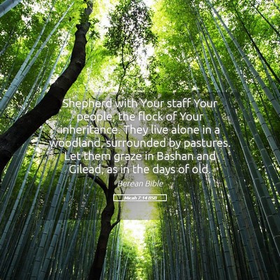 Picture 05 - Micah 7:14 BSB - Shepherd with Your staff Your people, the flock - Bible Verse Picture