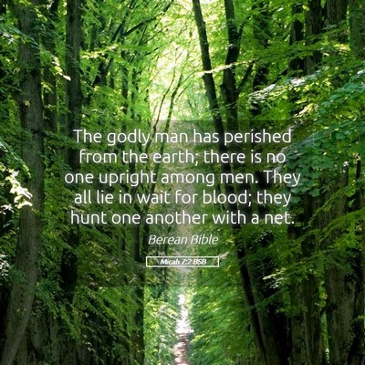 Picture 05 - Micah 7:2 BSB - The godly man has perished from the earth; there - Bible Verse Picture