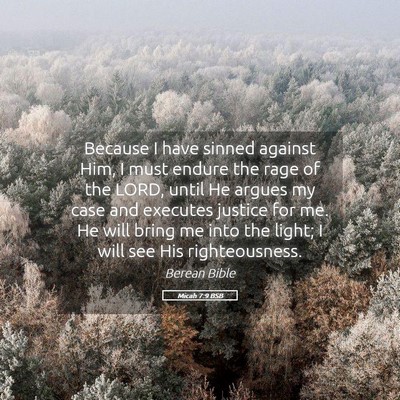 Picture 05 - Micah 7:9 BSB - Because I have sinned against Him, I must endure - Bible Verse Picture