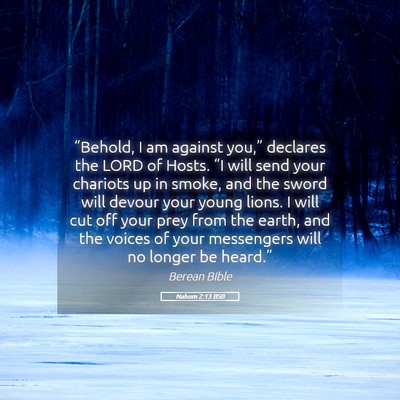 Picture 05 - Nahum 2:13 BSB - “Behold, I am against you,” declares the LORD - Bible Verse Picture