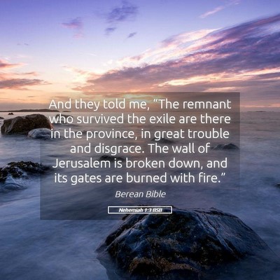 Picture 05 - Nehemiah 1:3 BSB - And they told me, “The remnant who survived the - Bible Verse Picture